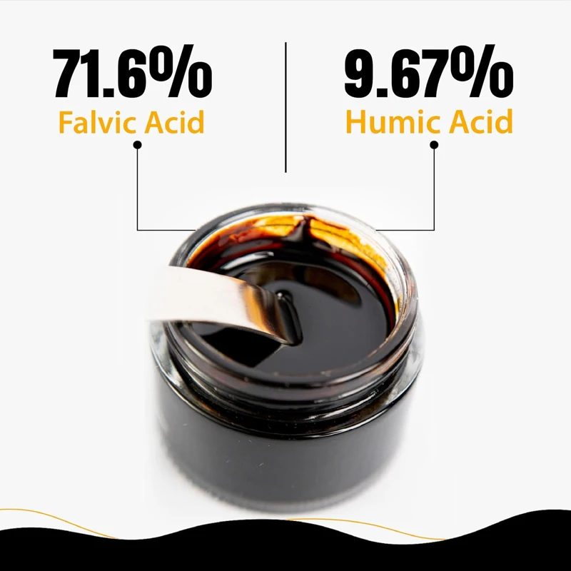 Pure Himalayan Shilajit Resin, - огляд і ціна Shilajit Resin Pure